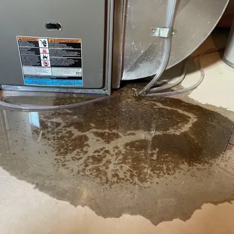 Appliance Leak Cleanup in Lorton, VA